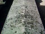 image of grave number 384190